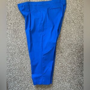 Kim Rogers Capri Pants Size 18